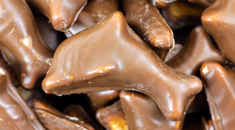 Chocolate Covered Foam Dolphins