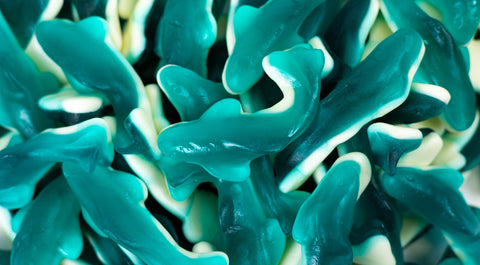 Gummy Jumbo Shark