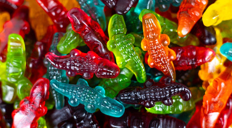 Jellioo Mini Jelly Crocodiles