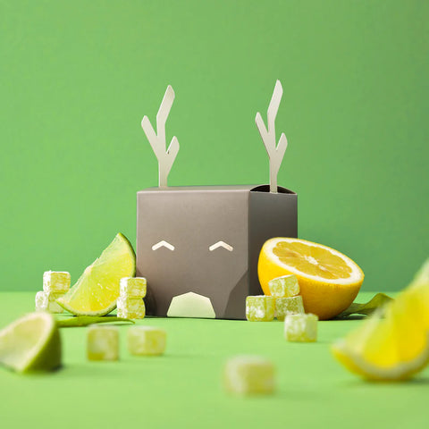 Wally and Whiz: Gray Reindeer with Lime with Sour Lemon, 140g