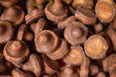 Chocolate Coated Foam Mushroom